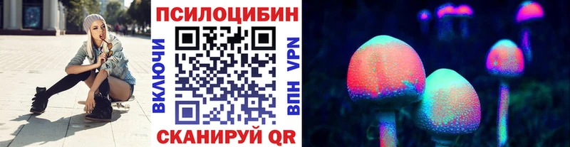 Галлюциногенные грибы Psilocybine cubensis  маркетплейс какой сайт  Никольск  что такое  